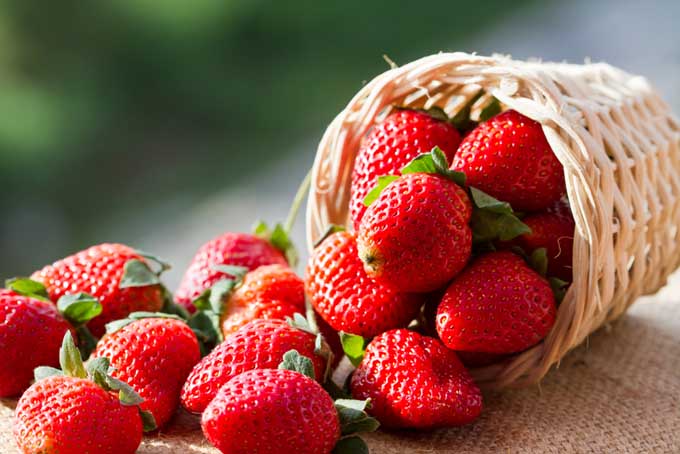 Make-Strawberry-Season-Last-All-Year